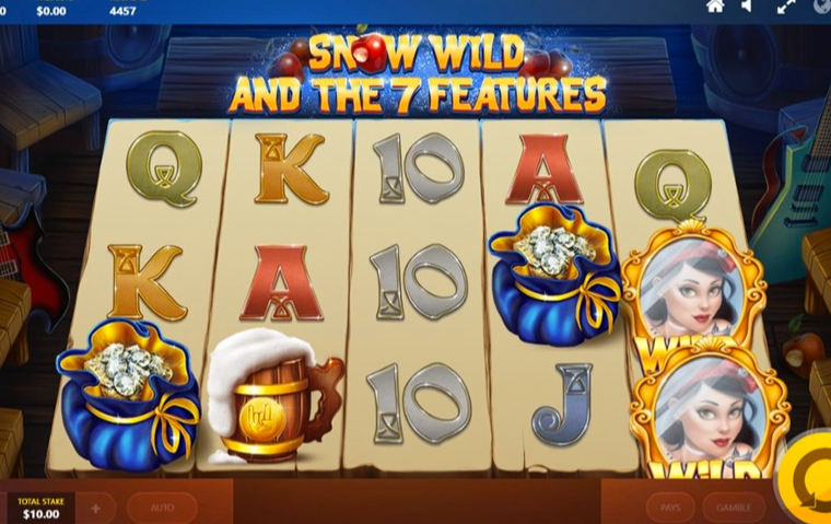 Snow Wild and the 7 Features homepage