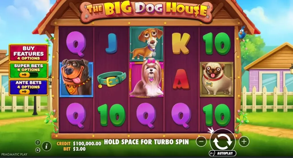 The Big Dog House