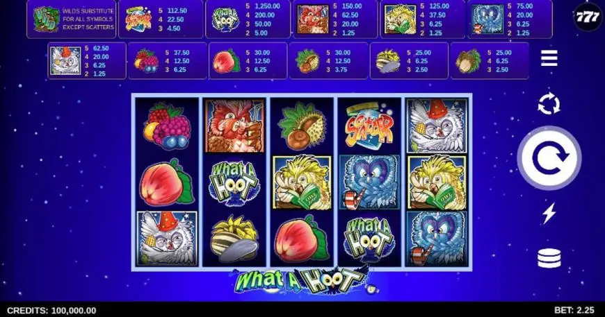 What a Hoot slot gameplay